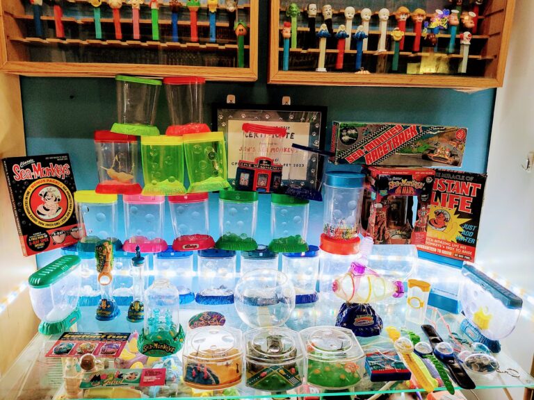 Childhood Hobby Transforms Into Thriving Business for Sea-Monkey Enthusiast