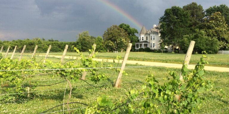 Virginia Winery Owner Shares Industry Insights Through Two New Books
